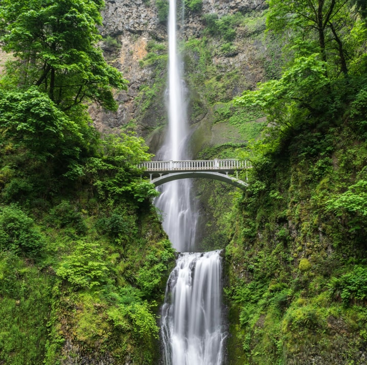 Whispering Waterfalls